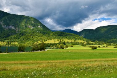 Slovenya 'nın Gorenjska kentindeki Julian Alpleri' nde Bohinj Gölü kıyısında insanlar ve çayırlarda yürüyüş yapmak