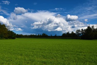 Gorenjska, Slovenya 'daki Sorsko Polje tarlası ve gökteki kümülüs bulutları