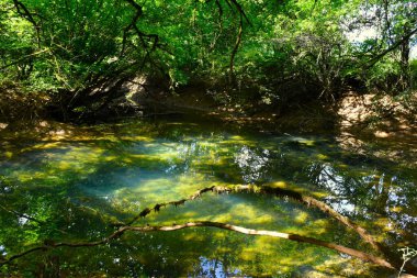 Notranjska 'daki Cerknisko Jezero pınarında bir bataklıkta gölet,
