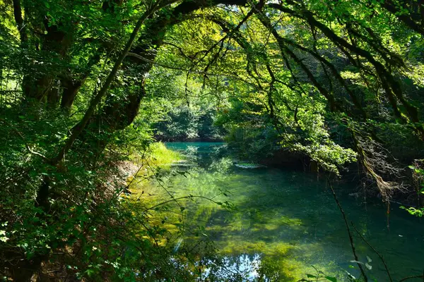 スロベニアのノトランキアの森を流れるクルカニ湖の厳しい川 — ストック写真