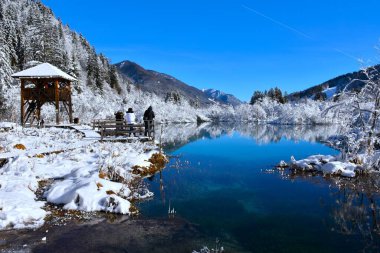 Slovenya 'nın Gorenjska kenti Kranjska Gora yakınlarındaki Zelenci' de bir izleme platformu ve ahşap gözetleme kulesi