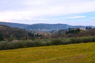 Slovenya 'nın Primorska kentindeki Strunjan vadisinde bir kilise ve zeytin ağaçları var.