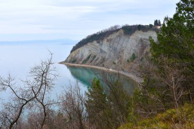 Adriyatik Denizi kıyısındaki Strunjan 'daki Ay Koyu manzarası