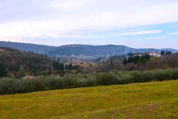 Slovenya 'nın Primorska kentindeki Strunjan vadisinde bir kilise ve zeytin ağaçları var.