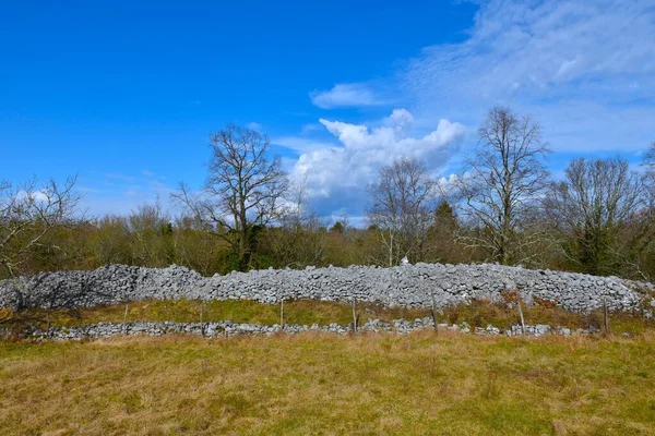 Komen ve Vocji Grad yakınlarındaki Debela Griza tepesi kalıntıları. Kras, Primorska, Slovenya 'da çayır ve ağaçlar var.