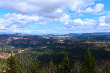 Notranjska, Slovenya ve Logatec kentindeki orman manzarası