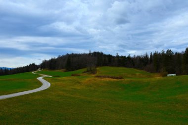 Slovenya 'nın Gorenjska kentindeki Stefanja Gora' daki tarla ve orman tepeyi kapladı