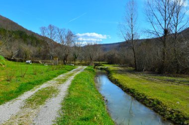 Slovenya, Primorska, Istria 'daki Dragonja vadisinde bir su kanalının yanındaki çakıl yolu.