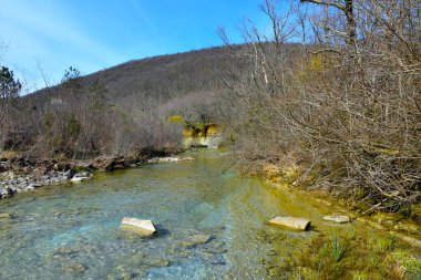 Slovenya 'nın Istria kentindeki Dragonja Nehri manzarası ve tepenin üzerindeki orman manzarası