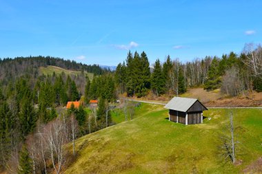 Slovenya 'nın Gorenjska kentindeki Zirovski Vrh' de bir çayırı ve ormanı olan manzara