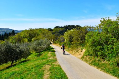 Slovenya 'nın Primorska kentindeki Strunjan doğa koruma alanına giden bisikletçi