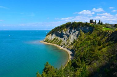 İlkbaharda Slovenya 'nın Littoral bölgesindeki Adriyatik Denizi kıyısındaki Strunjan Doğa Koruma Alanı' nın manzarası