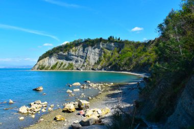 View of the Moon bay with a flysch cliff in Strunjan nature reserve in Littoral region, Slovenia clipart