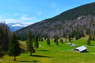 Slovenya 'nın arkasındaki Dol Dağı ve Kalski Greben Dağı manzarası