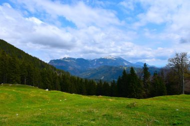 View of Golica in Karavanke mountains in Gorenjska, Slovenia clipart