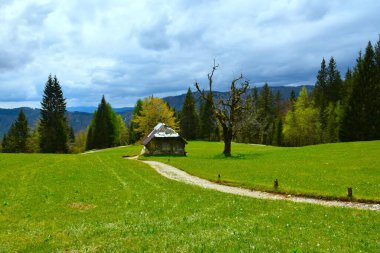 Meadow with a crumbling building in Karavanke mountains in Gorenjska, Slovenia clipart
