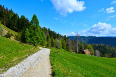 Gravel road leading past meadows in Karavanke mountains into a forest in Gorenjska, Slovenia clipart
