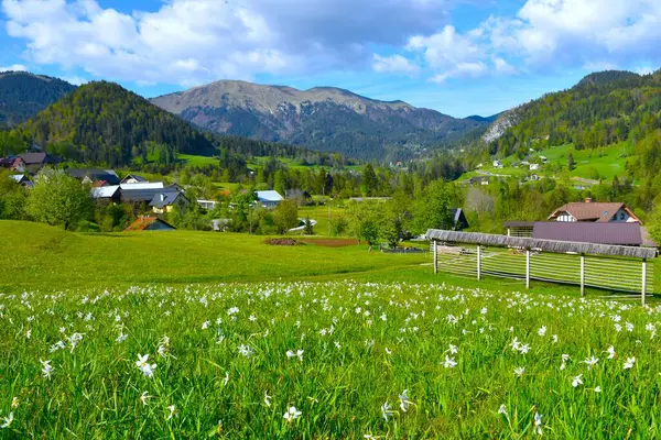 Slovenya 'nın Gorenjska kentindeki Karavanke dağlarındaki Plavski Rovt köyü ve Golica manzarası.