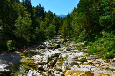 Slovenya 'da Bohinj yakınlarındaki Mostnica nehrinin manzarası