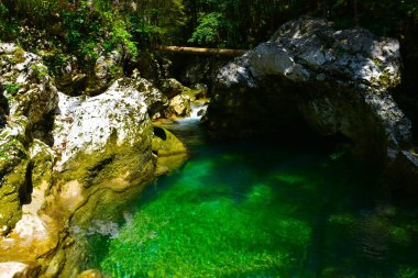 Slovenya 'da Bohinj yakınlarındaki Mostnica deresinde havuz