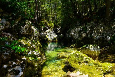 Slovenya 'da Bohinj yakınlarındaki Mostnica vadisi ve akarsu manzarası