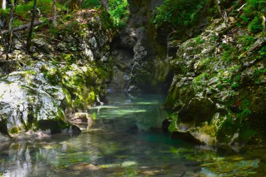 Slovenya 'da Bohinj yakınlarındaki Mostnica geçidine bak