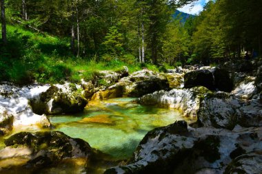 Slovenya 'da Bohinj yakınlarındaki Mostnica deresinde havuz