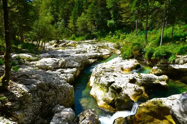 stock image Mostnica river near Bohinj in Slovenia