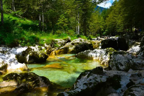 stock image Pool at Mostnica creek near Bohinj in Slovenia