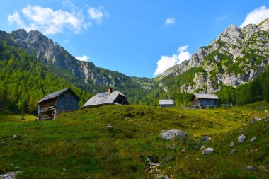 Slovenya 'nın Julian Alplerindeki Konjscica alp otlağındaki ahşap binalar