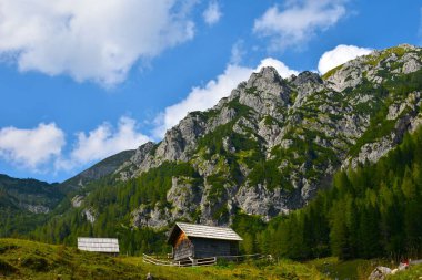 Slovenya 'nın Julian Alplerindeki dağlarda Konjscica Alp otlağındaki ahşap kulübeler