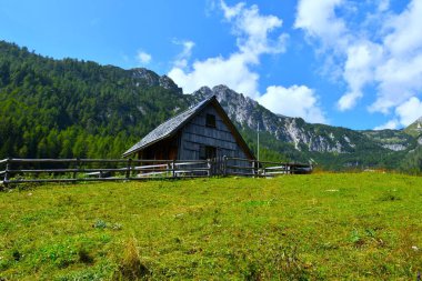 Slovenya 'nın Julian Alplerindeki Konjscica otlağında bir dağ sırtı haykıran ahşap kulübe