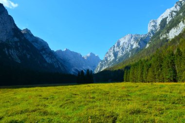 View of Krma alpine valley and Draski vrh mountain peak in Slovenia clipart