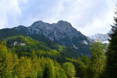 Slovenya, Zgornje Jezersko 'da Ravenska Kocna' nın yukarısındaki Velika Baba Dağı