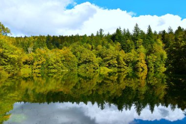 Slovenya 'nın Notranjska kentindeki Rakov Skocjan' da sudaki ağaçların yansımasıyla göl