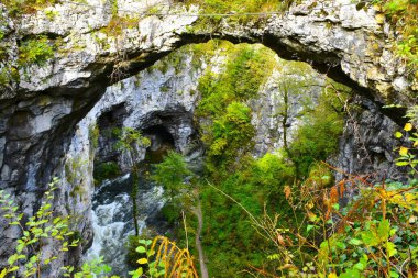 Slovenya 'nın Notranjska kentinde Rakov Skocjan' da küçük doğal köprü ve eljnske jame karst oluşumu haykırışı