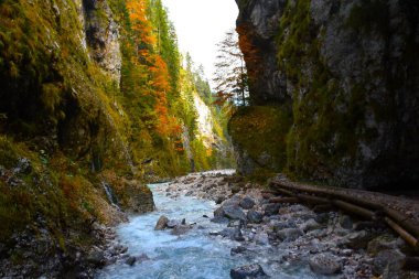Güzel Martuljek, Slovenya 'nın Julian Alpleri' ndeki Gozd Martuljek yakınlarında sonbaharda ağaçların turuncu renkte olduğu ve bir derenin aktığı bir vadi.