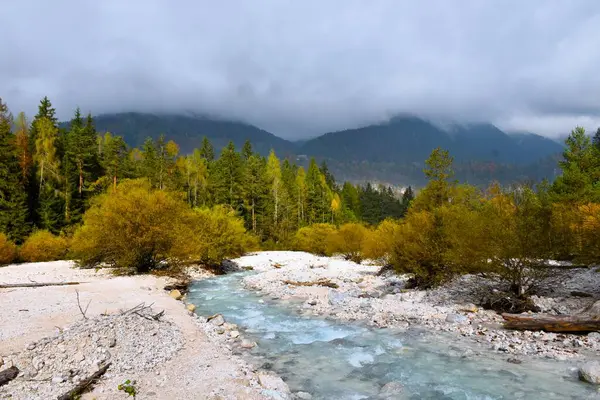 Martulje deresi sonbaharda Slovenya 'nın Gorenjska kentinde bulutlarla kaplı Karavanke dağlarıyla birlikte kayalıkların içinden akıyor.