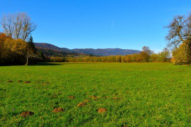 Slovenya 'nın Notranjska kentindeki Javorniki tepeleriyle Cerknisko polyesinde çayır