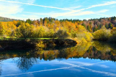 Slovenya 'nın Notranjska kentinde sonbahar turuncu ve sarı renkli bir ormanla Cerkniko Jezero Gölü' ndeki Jezerscica Nehri manzarası