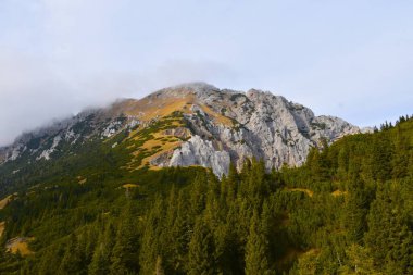 Karavanke dağlarındaki Tolsta Kosuta dağ zirvesi, Gorenjska, Slovenya