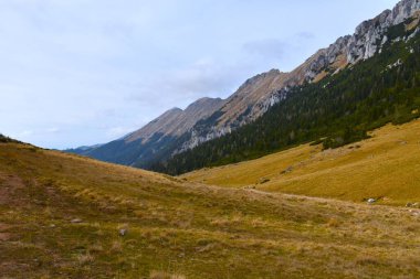 Alpine pasture Dolga Njiva bellow mountain range in Karavanke in Gorenjska, Slovenia clipart