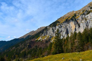 Slovenya 'nın Gorenjska kentinde, Karavanke' de bir dağ sırasının kayalıkları haykırıyor Dolge Njive
