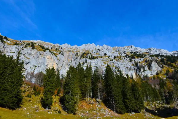 Karavanke 'de Dolga Njiva' nın yukarısındaki dağlarda çam ağaçları ötüyor.