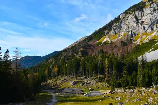 Dolga Njiva alp otlağındaki kulübeler Karavanke dağları ve Slovenya 'nın Gorenjska kentinin yukarısında bir orman.