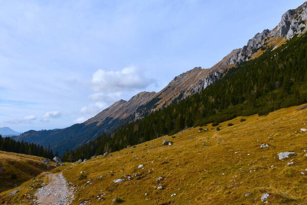 Alpine meadow and a gravel road at Dolga Njiva pasture bellow a mountain range in Karavanke in Gorenjska, Slovenia