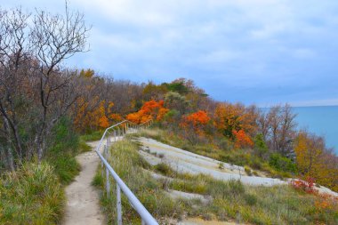 Footpath and a metal fence in Strunjan nature park with bushes in red and orange autumn foliage in Istria, Littoral, Slovenia clipart