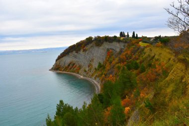 Bulutlu bir günde Strunjan 'daki Ay Koyu ve Istria, Littoral, Slovenya' daki sonbahar portakal yapraklı ağaçlar