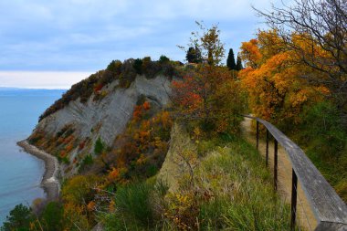 Fence and a footpath at Strunjan nature park and flysch cliff above the Adriatic sea in Istria, LIttoral, Slovenia clipart