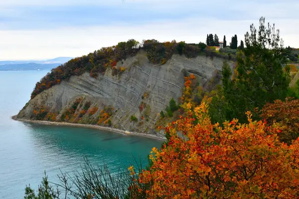 Istria, Littoral, Slovenya 'daki Ay Körfezi ve Adriyatik deniz kıyısındaki uçurum manzarası